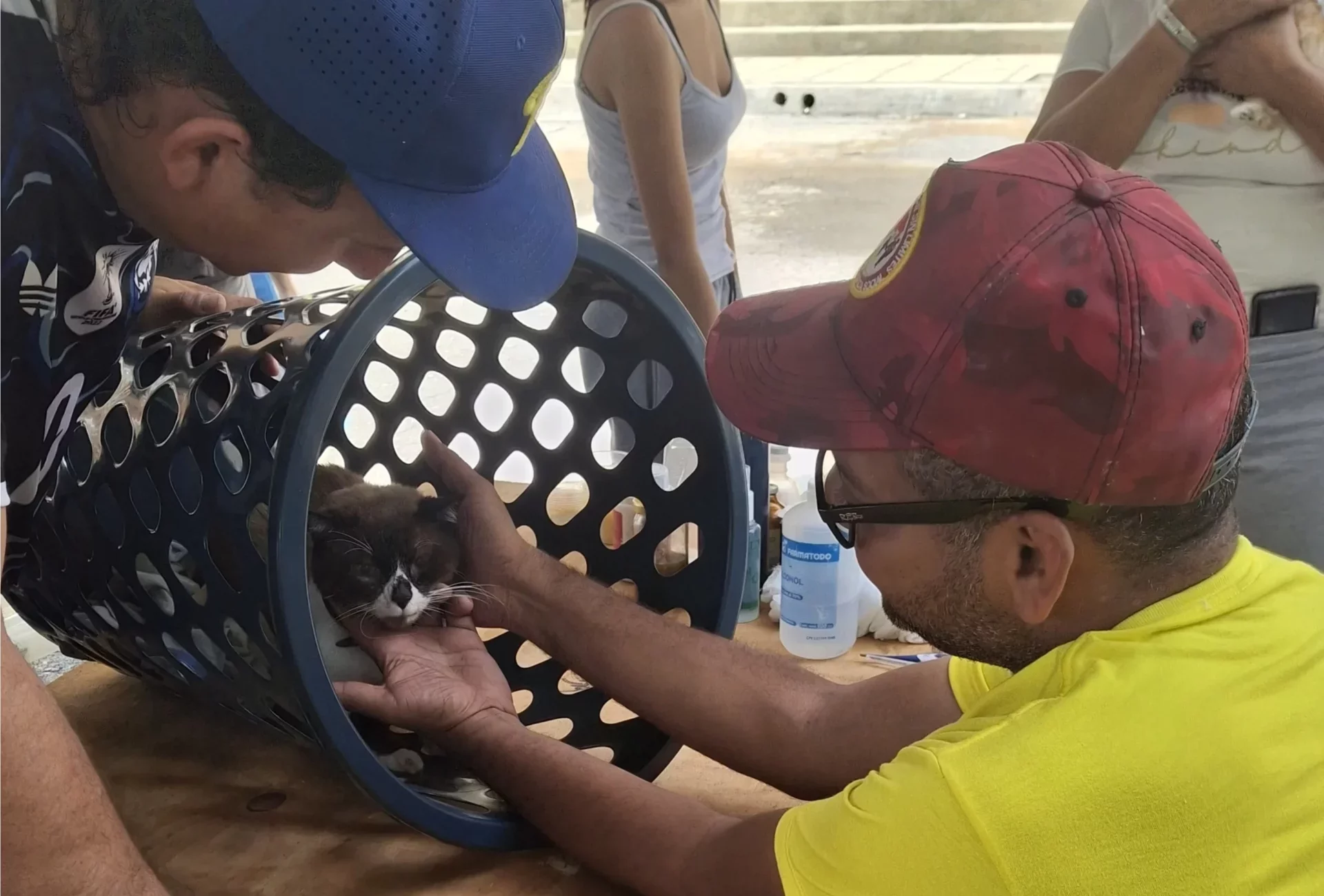 Consolidan la protección integral con exitosas jornadas veterinarias en Aragua