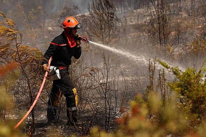 Incendios forestales en bosques franceses alcanzan casi 98 mil hectáreas destruidas