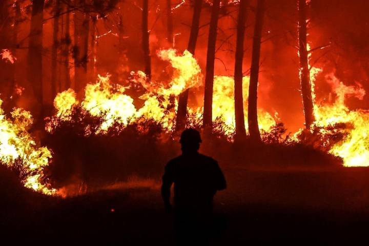 Francia procesa a 11 implicados en incendios forestales de Gironda