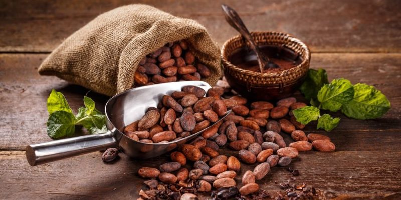 Cacao apureño se alza con la medalla de plata en París