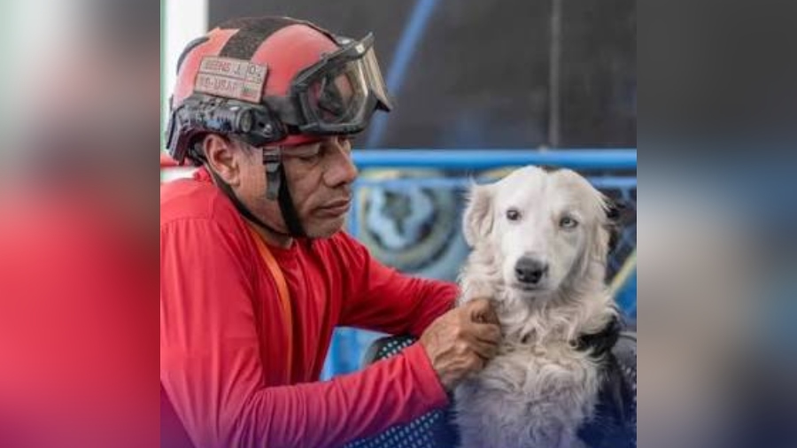 Tsunami y su cuidador Jorge, héroes de los sismos, están por acceder a un nuevo hogar