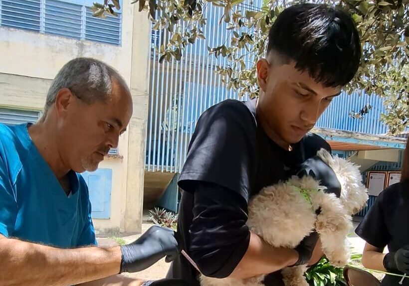 Más de 900 animales de compañía fueron vacunados de manera gratuita en Ribas