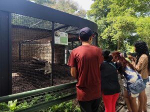 Zoológico Las Delicias suma experiencias al turismo familiar en Maracay