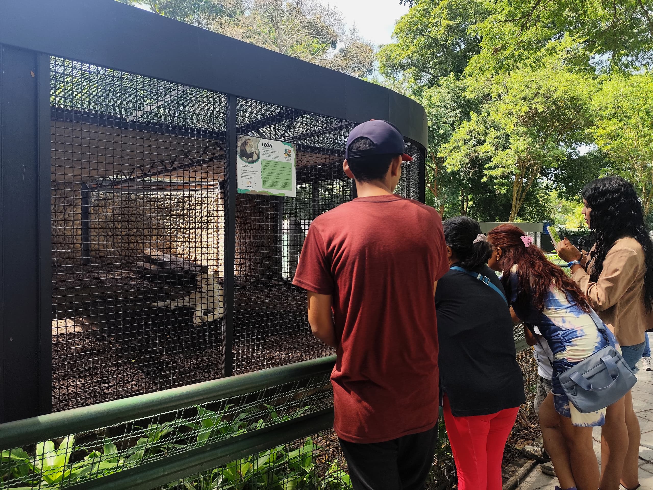 Zoológico Las Delicias suma experiencias al turismo familiar en Maracay
