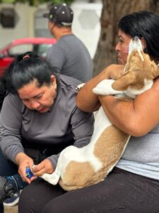 Jornada antirrábica supera las expectativas en FLA