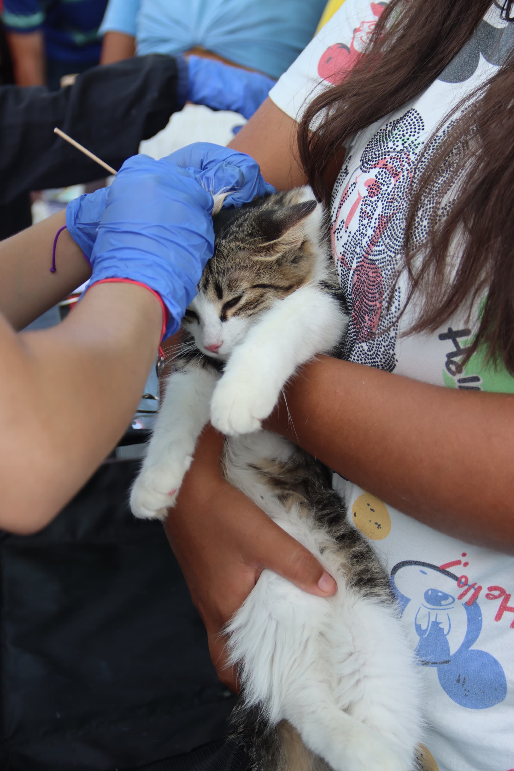 SABA desplegó jornada de vacunación antirrábica para mascotas de Libertador