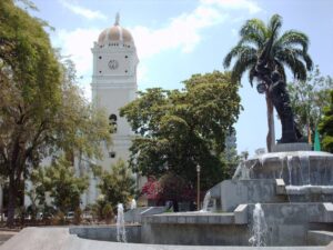 Conare ejecutó jornada de arborización en la Plaza Girardot ‎