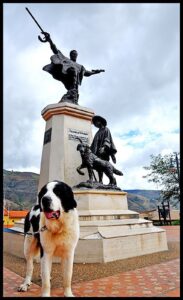 El perro Nevado: la leal leyenda andina que transformó el amor por los caninos
