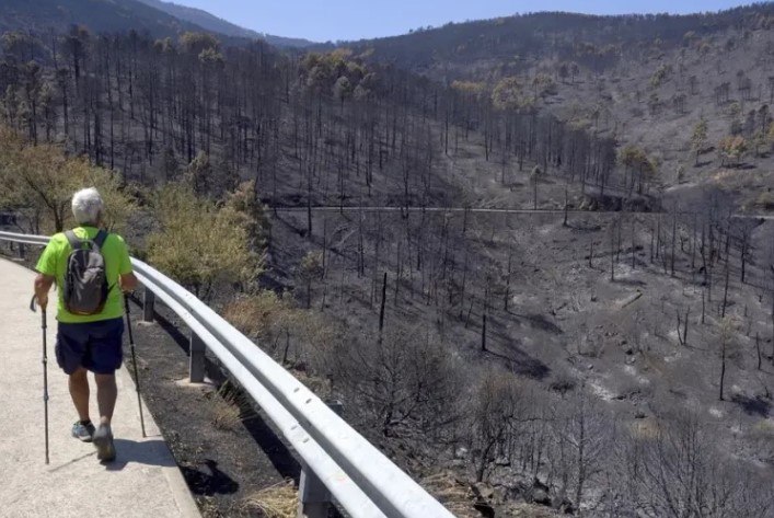 Incendio de Burgohondo, el mayor en la historia de España