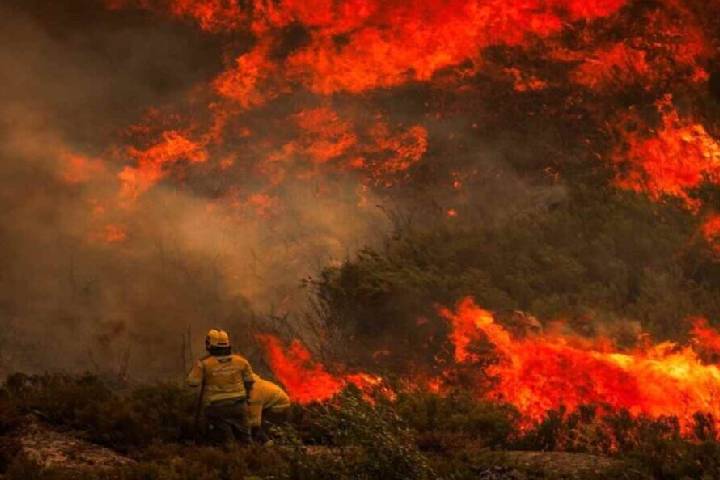 Portugal despliega operativo de 900 efectivos para frenar incendio forestal