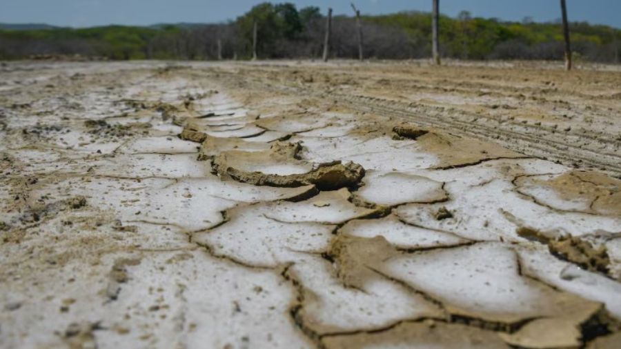 La ONU alerta sobre un fenómeno de El Niño severo en América Latina a finales de año
