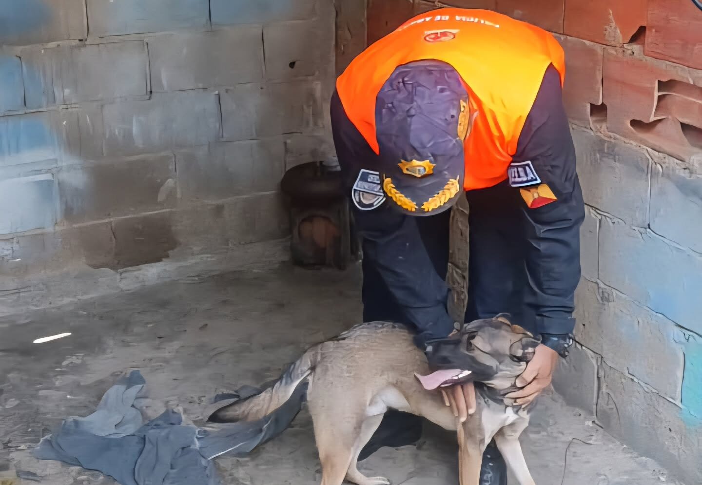 Policía de Aragua rescató un perrito víctima de maltrato en el municipio MBI