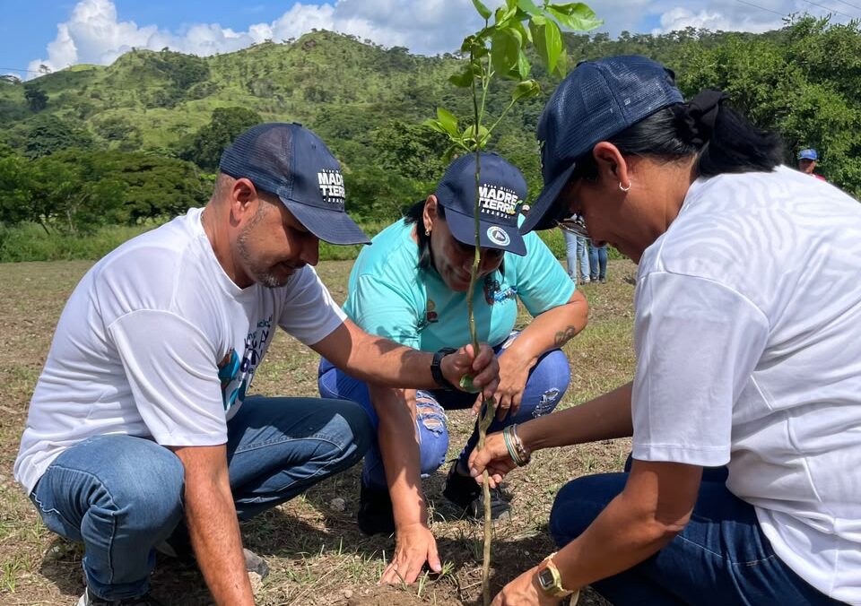 Plan Chuquisaca plantó más de 400 árboles frutales en Revenga