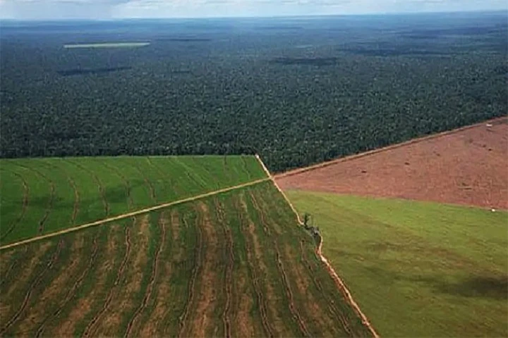Argentina elimina límites a venta de tierras a extranjeros