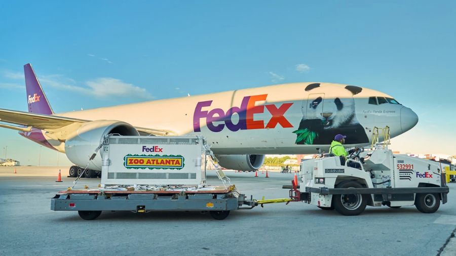 Dos pandas gigantes chinos llegan a la ciudad estadounidense de Atlanta