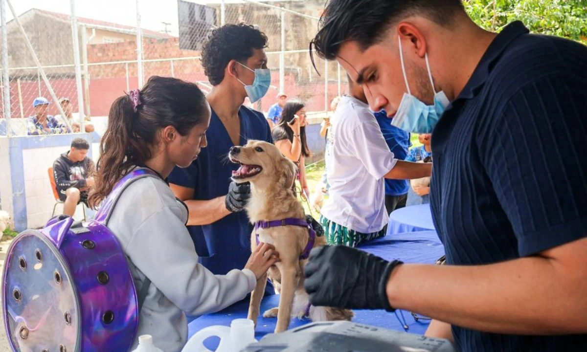 Jornada de vacunación antirrábica supera las 330 mil mascotas atendidas en 2026