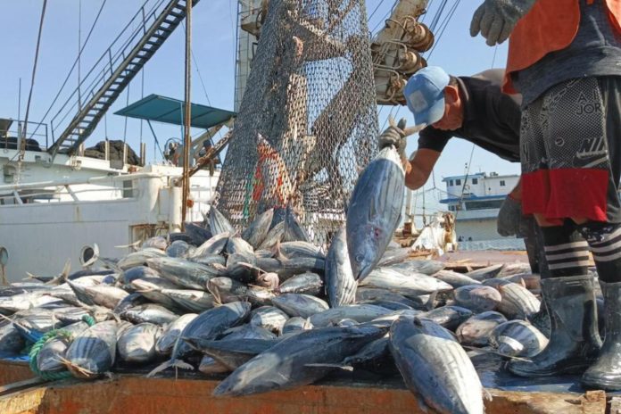 Venezuela presentará su oferta pesquera en la 27ª Feria Conxemar en España