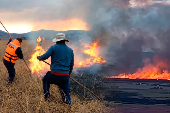 Incendio forestal azota la Reserva Nacional del Titicaca en Perú