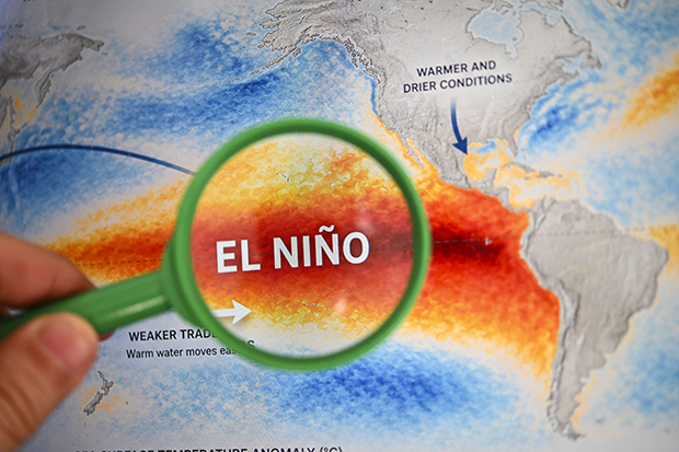 Jamaica prepara medidas de contención por la sequía como consecuencia del fenómeno El Niño
