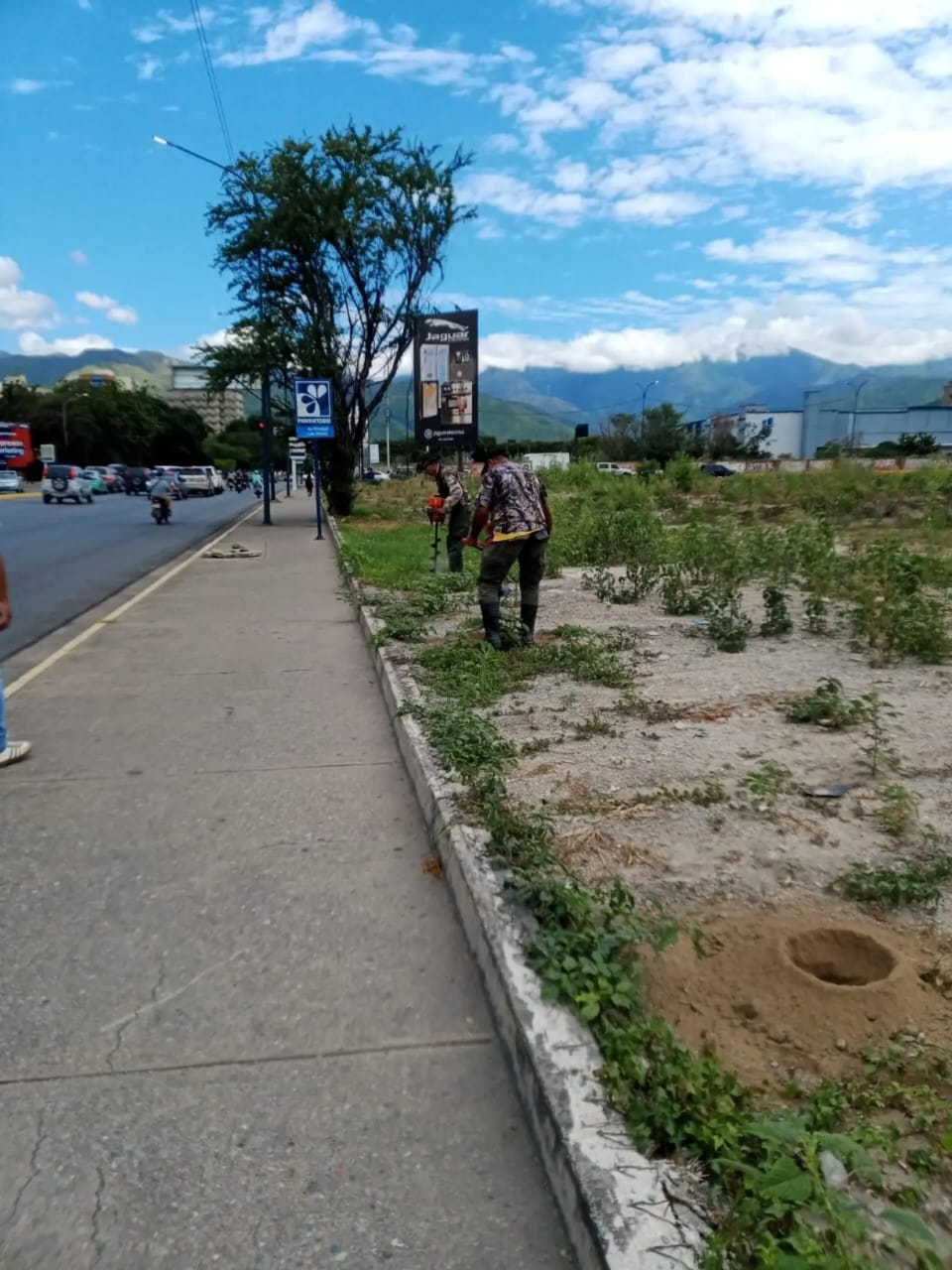 Avanza el Plan de Reforestación Urbana en Maracay