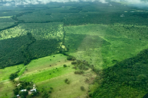 Ecuador acogerá cumbre mundial de biodiversidad
