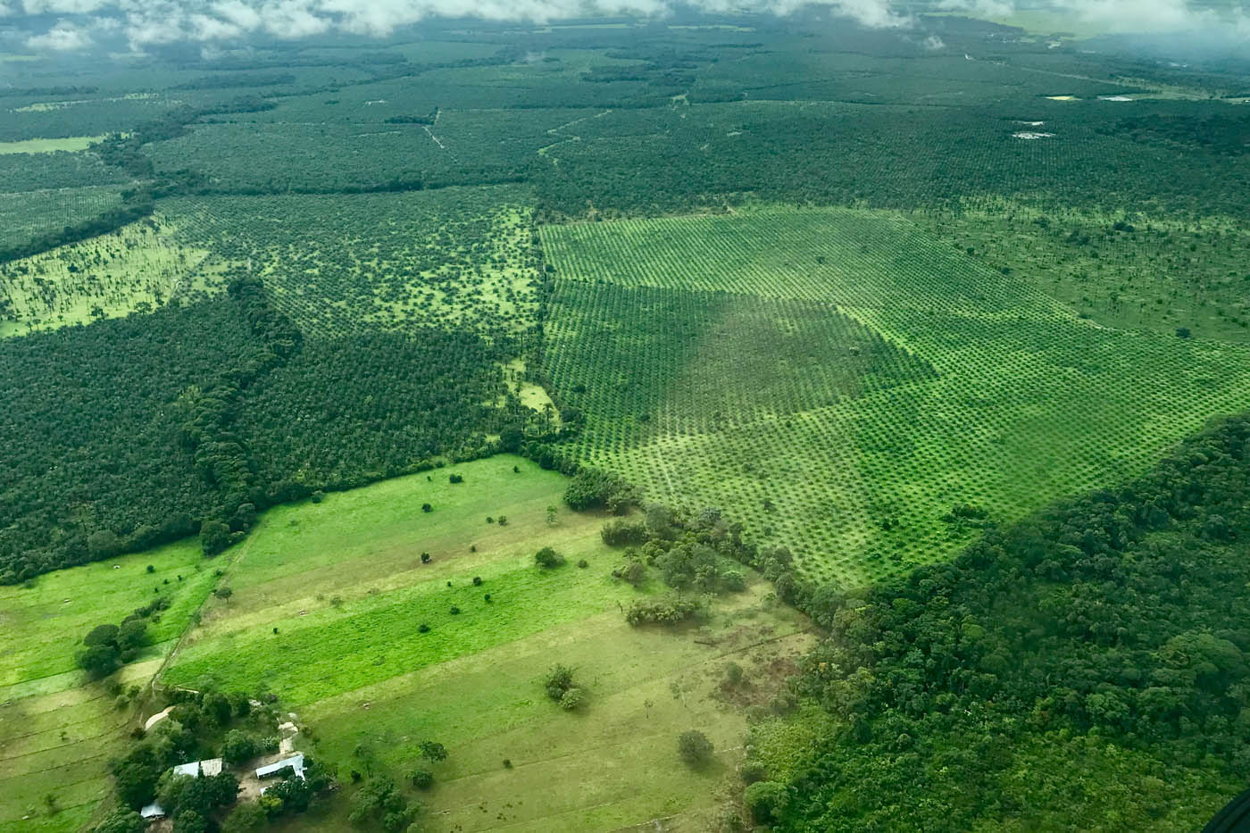 Ecuador acogerá cumbre mundial de biodiversidad