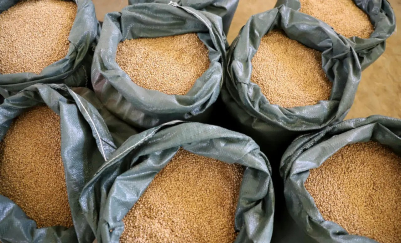 FAO reporta alza mundial de alimentos